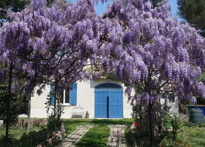 Appartement En Provence