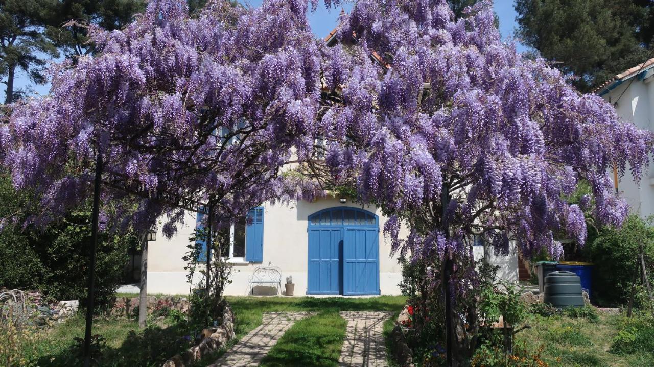 En Provence